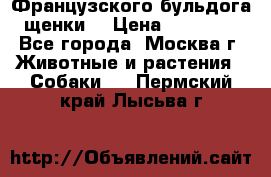 Французского бульдога щенки  › Цена ­ 35 000 - Все города, Москва г. Животные и растения » Собаки   . Пермский край,Лысьва г.